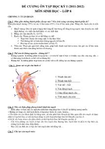 Đề cương ôn tập học kỳ I - Môn Sinh 8