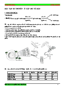 Sinh học - Bài tập di truyền ở cấp độ tế bào