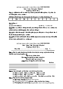 Đề thi học sinh giỏi cấp trường Toán, Tiếng việt Lớp 3 - Năm học 2010-2011 - Trường Tiểu học số 2 Sơn Trung