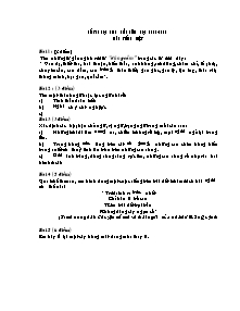 Đề thi học sinh giỏi môn Tiếng việt Lớp 4 - Năm học 2008-2009