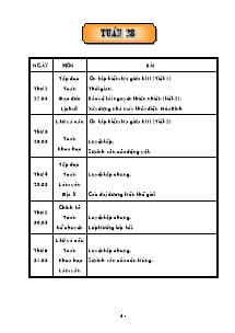 Giáo án Các môn Lớp 5 - Tuần 28