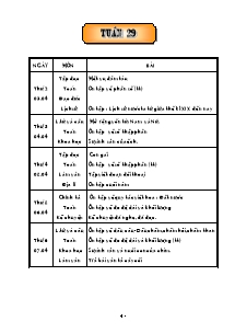 Giáo án Các môn Lớp 5 - Tuần 29