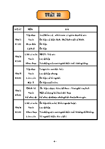 Giáo án Các môn Lớp 5 - Tuần 33