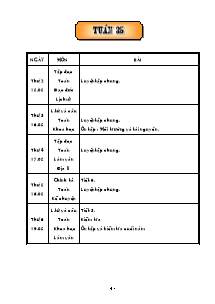 Giáo án Các môn Lớp 5 - Tuần 35