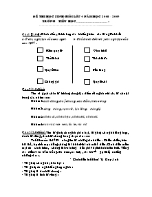 Đề kiểm tra học sinh giỏi môn Tiếng việt Lớp 4 - Năm học 2008-2009