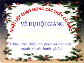 Bài giảng Tiếng anh Lớp 4 - Unit 6: Let’s Learn - Năm học 2009-2010