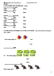 Đề thi học kì II Tiếng anh Lớp 4 - Trường Tiểu học Cam Đức 1