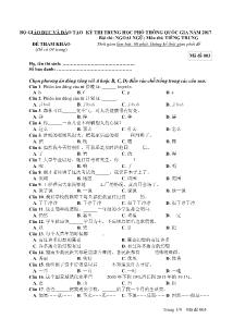 Đề tham khảo thi Trung học phổ thông Quốc gia môn Tiếng Trung năm 2017 - Mã đề: 3 - Bộ Giáo dục và Đào tạo
