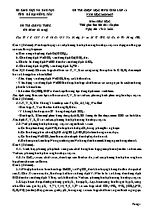 Đề thi chọn học sinh giỏi môn Hóa học Lớp 12 - Năm học 2022-2023 - Sở GD&ĐT Bà Rịa – Vũng Tàu