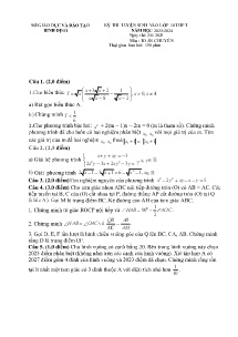 Đề thi tuyển sinh vào lớp 10 THPT môn Toán (Chuyên) - Năm học 2023-2024 - Sở GD&ĐT Bình Định