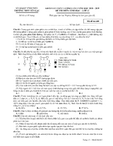 Đề khảo sát chất lượng lần 3 năm học 2018-2019 môn Sinh Học Lớp 12 - Mã đề 405 - Trường THPT Yên Lạc