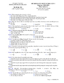 Đề khảo sát chất lượng lần 3 năm học 2018-2019 môn Vật Lý Lớp 12 - Mã đề 304 - Trường THPT Nguyễn Viết Xuân