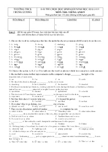 Đề thi chọn học sinh giỏi năm học 2018-2019 môn Tiếng Anh Lớp 9 - Trường THCS Trung Lương
