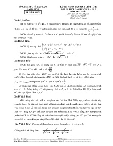 Đề thi chọn học sinh giỏi tỉnh Lớp 10 THPT năm học 2018-2019 môn Toán - Sở GD&ĐT Hải Dương (Có đáp án)