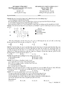 Đề thi khảo sát chất lượng lần 3 năm học 2018-2019 môn Sinh Lớp 12 - Mã đề 305 - Trường THPT Nguyễn Viết Xuân