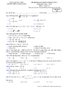 Đề thi khảo sát chất lượng lần 3 năm học 2018-2019 môn Toán Lớp 11 - Mã đề 293 - Trường THPT Lý Nhân Tông (Có đáp án)