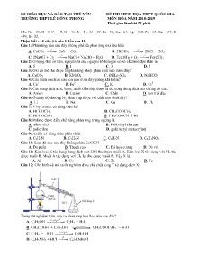 Đề thi minh họa THPT Quốc Gia môn Hóa Học năm 2018-2019 - Trường THPT Lê Hồng Phong (Có đáp án)