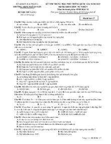 Đề thi thử THPT Quốc Gia lần 1 năm 2019 môn Sinh Học Lớp 127 - Mã đề - Trường THPT Ngô Quyền