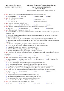 Đề thi thử THPT Quốc Gia lần 1 năm 2019 môn Sinh Học - Trường THPT Thái Phiên (Có đáp án)