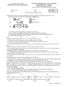 Đề thi thử THPT Quốc Gia Lần II năm học 2019 môn Sinh Học - Mã đề 009 - Trường THPT Lương Ngọc Quyến