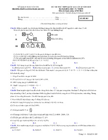 Đề thi thử THPT Quốc Gia Lần II năm học 2019 môn Sinh Học - Mã đề 003 - Trường THPT Lương Ngọc Quyến