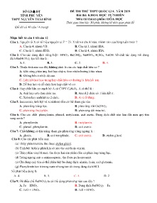 Đề thi thử THPT Quốc Gia năm 2019 môn Hóa Học - THPT Nguyễn Thái Bình (Có đáp án)