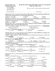 Đề thi thử THPT Quốc Gia năm học 2018-2019 môn Tiếng Anh - Trường THCS-THPT Võ Văn Kiệt