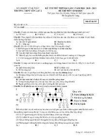 Đề thi thử THPTQG Lần 3 năm học 2018 - 2019 môn Sinh Học - Mã đề 357 - Trường THPT Yên Lạc 2